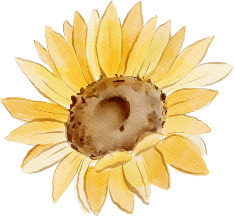 Watercolor Sunflower Illustration